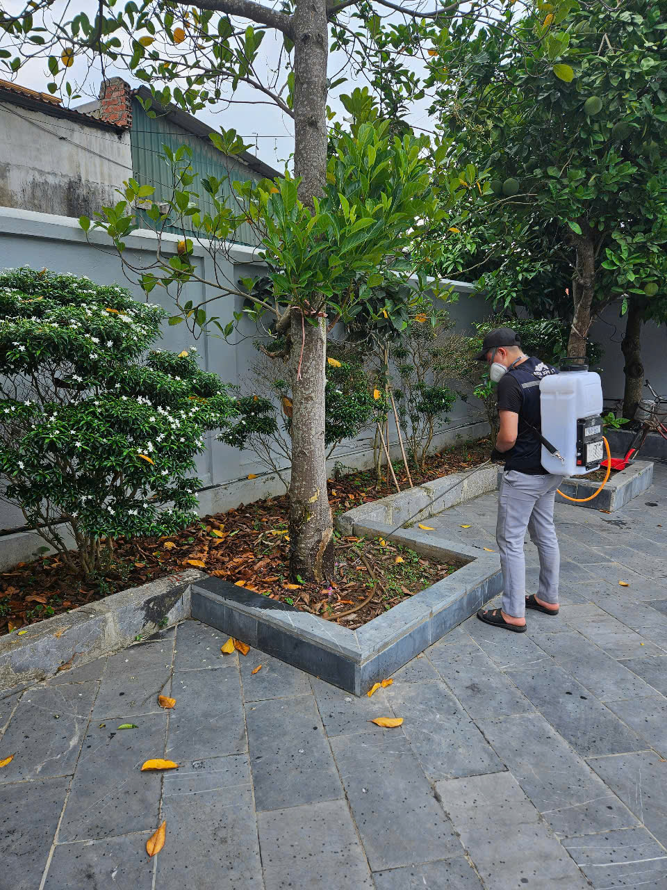 diệt mối tại Kỳ Trung
