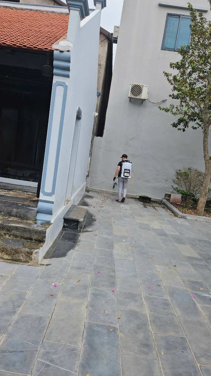 dịch vụ diệt mối tại Hồng Lĩnh – Hà Tĩnh