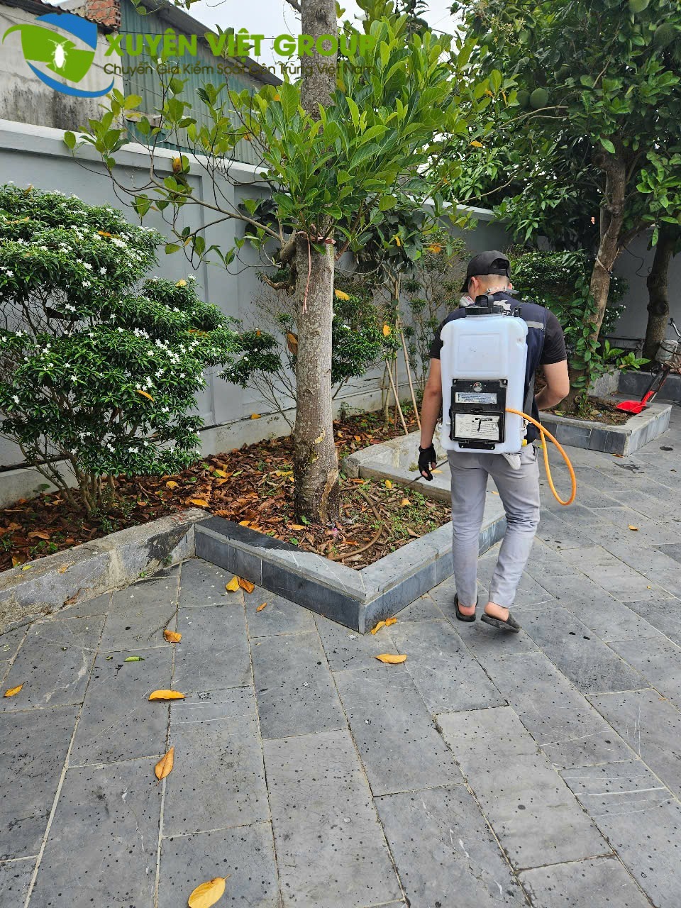 Kỹ thuật viên đang phun diệt côn trùng uy tín và giá rẻ tại Bắc Ninh