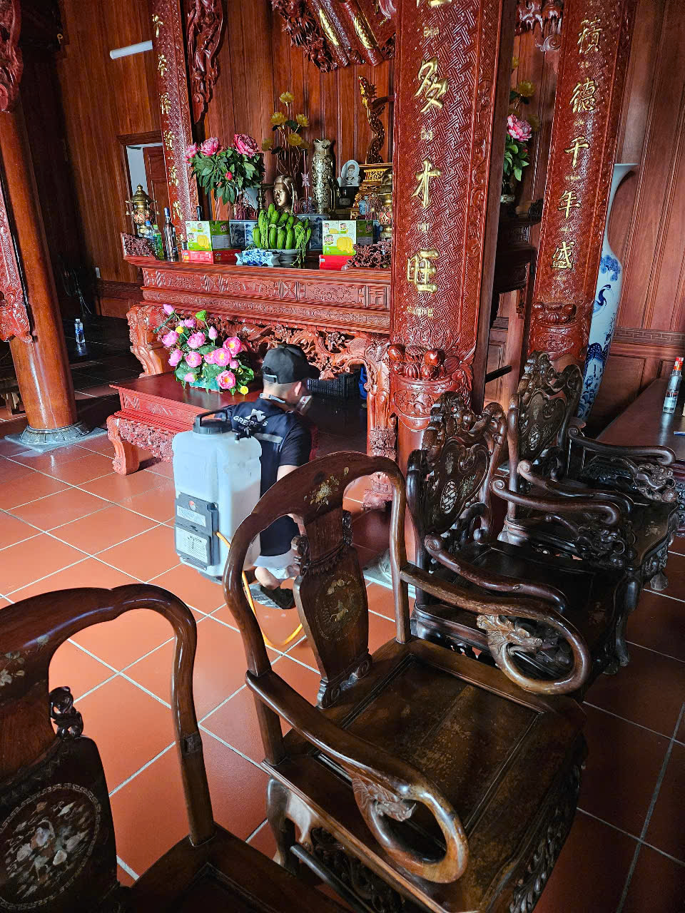 Diệt mối 
