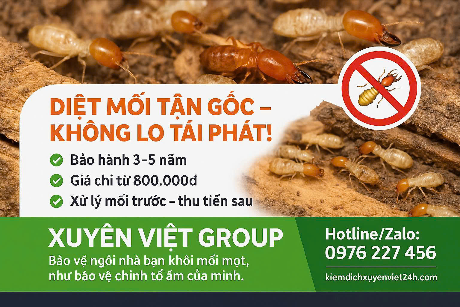 Xuyên Việt Group - Công ty Kiểm soát mối mọt hàng đầu uy tín tại Hà Nam