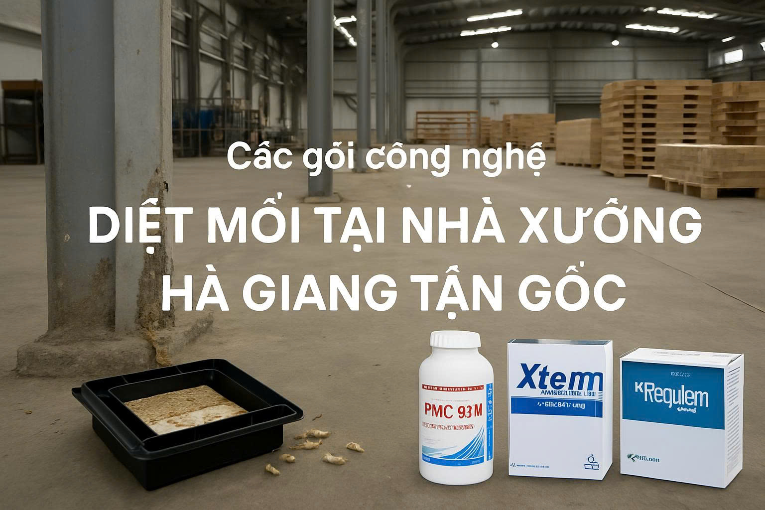 Công nghệ diệt mối tại nhà xưởng Hà Giang hàng đầu hiện nay