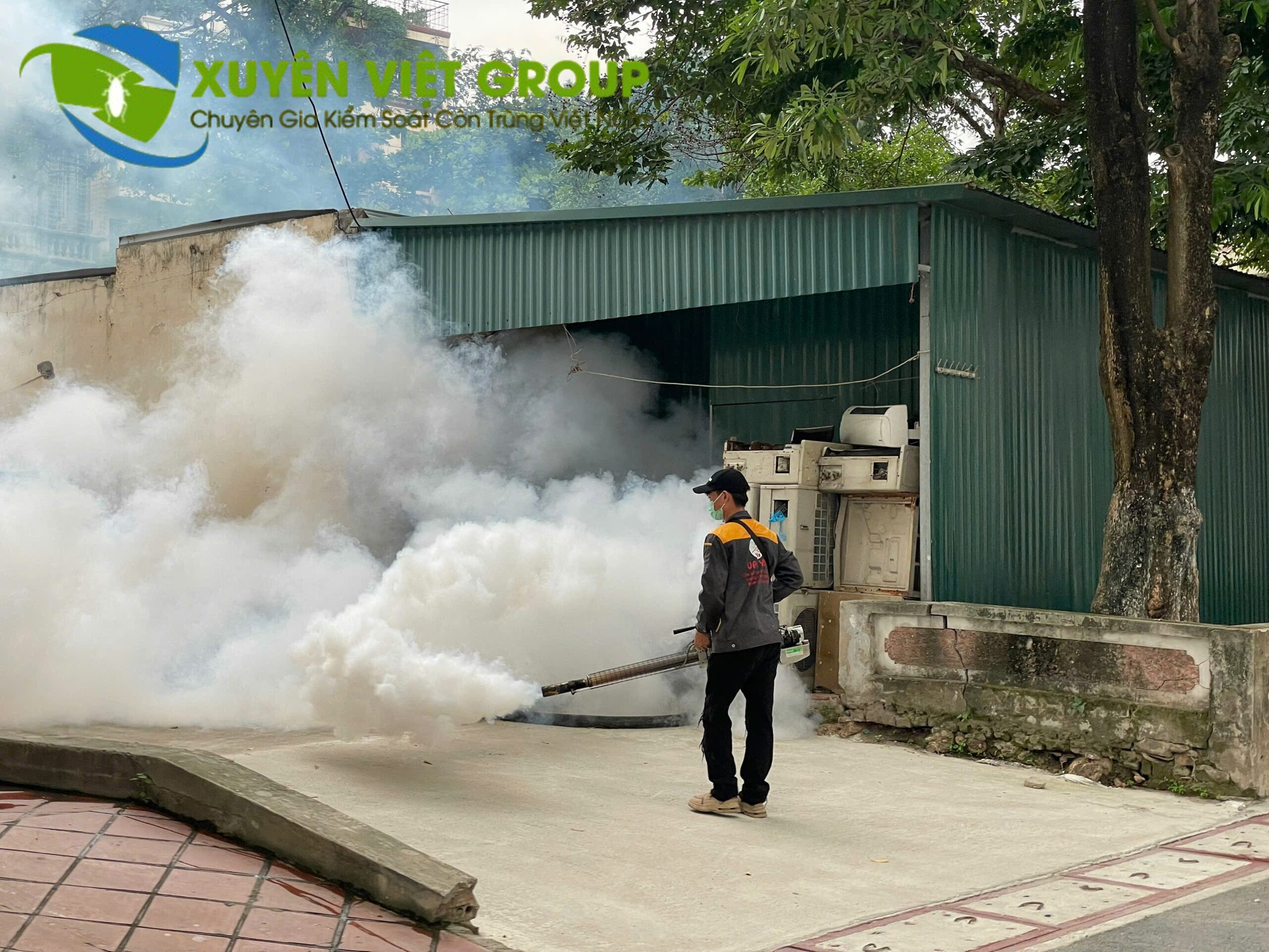 Dịch vụ kiểm soát côn trùng uy tín, có bảo hành tại Bắc Ninh