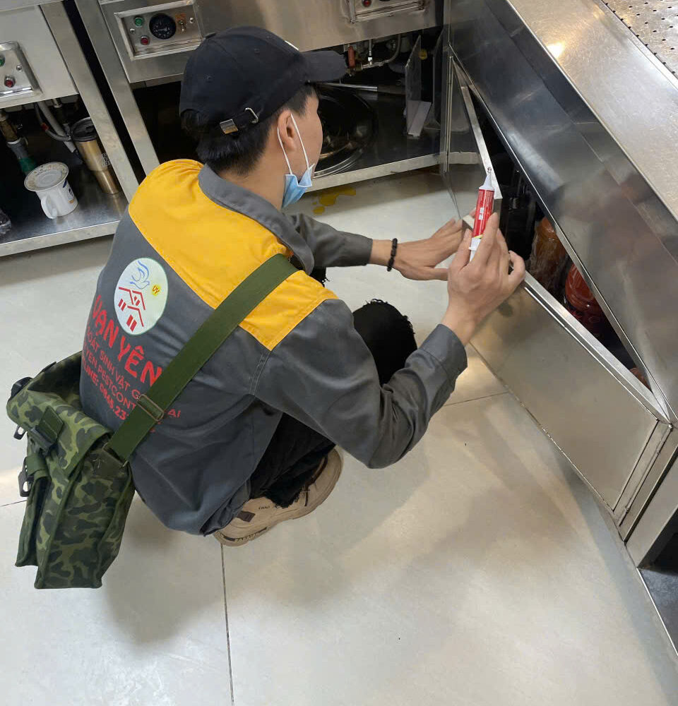 Dịch vụ diệt gián tại Hà Nam an toàn