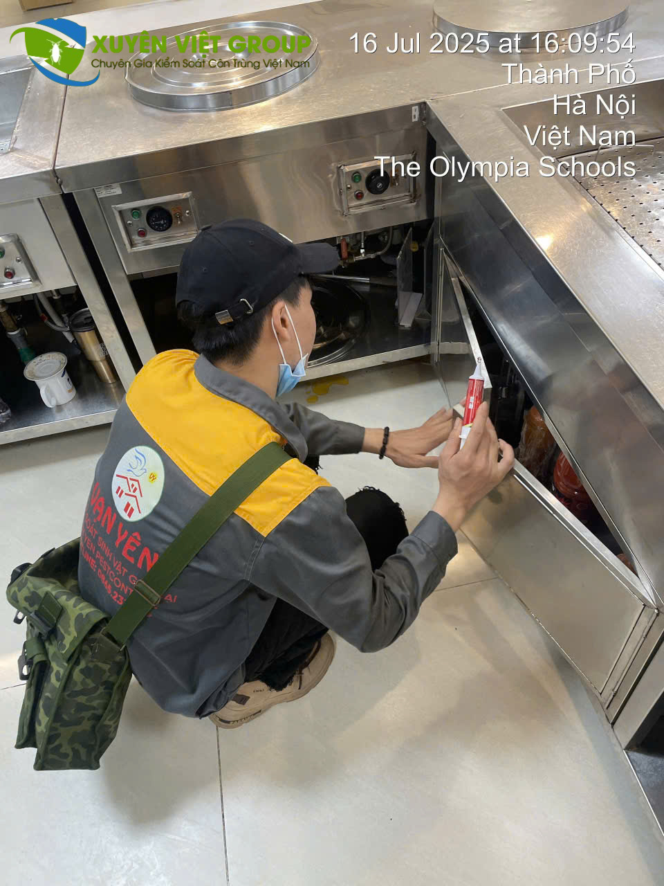 Dịch vụ diệt gián cho nhà hàng tại Xuyên Việt Group Vạn Yên