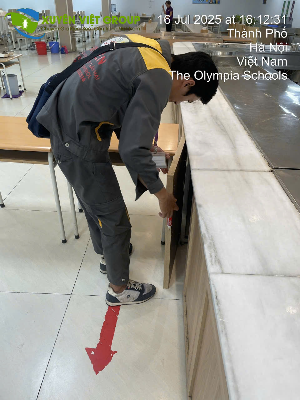 Dịch vụ diệt kiến – bọ chét tại Hà Nội