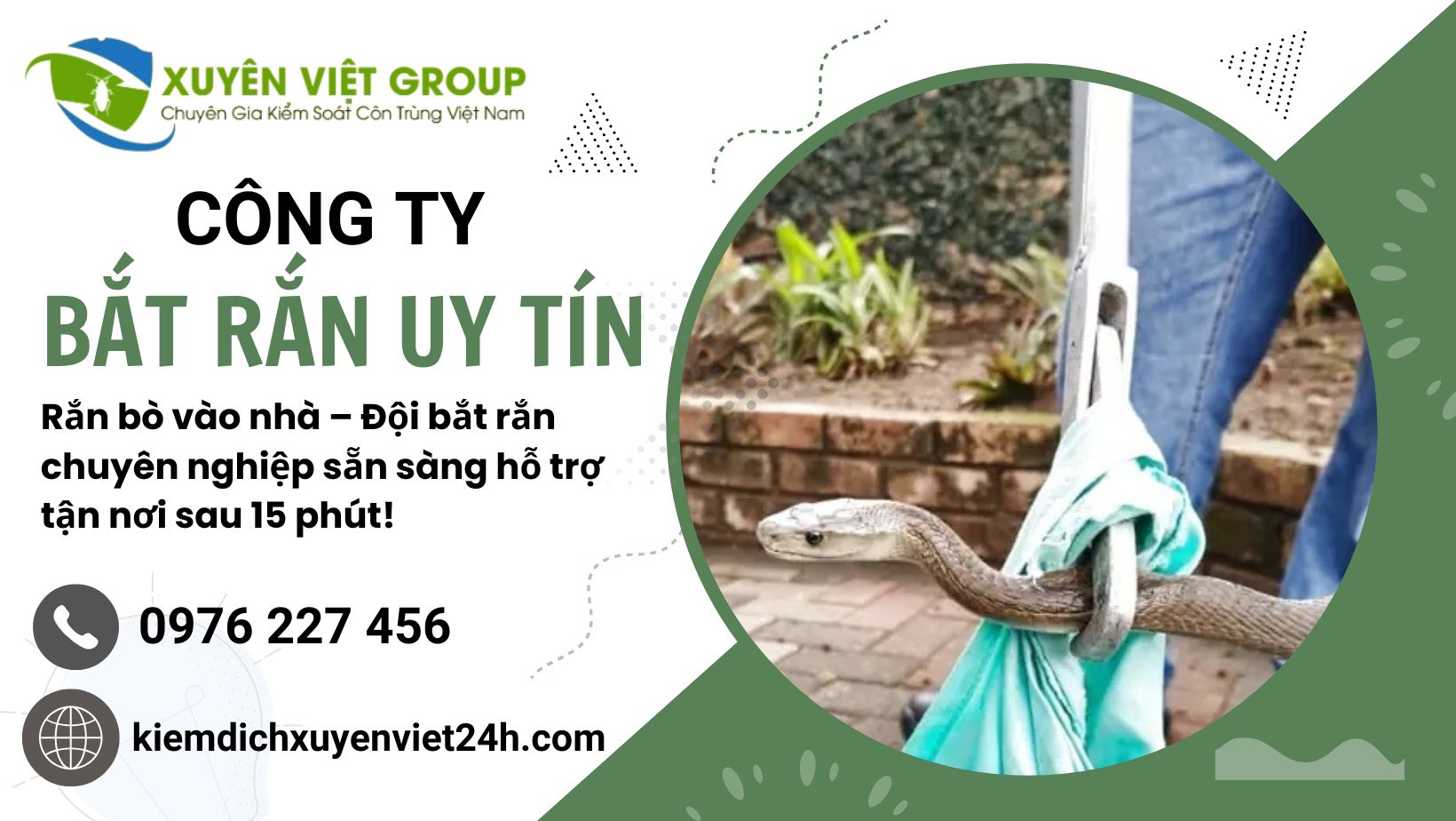 Công ty bắt rắn uy tín - Xuyên Việt Group Vạn Yên