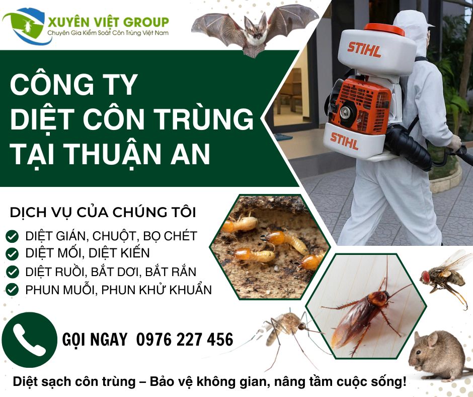 Công ty diệt côn trùng tại Thuận An