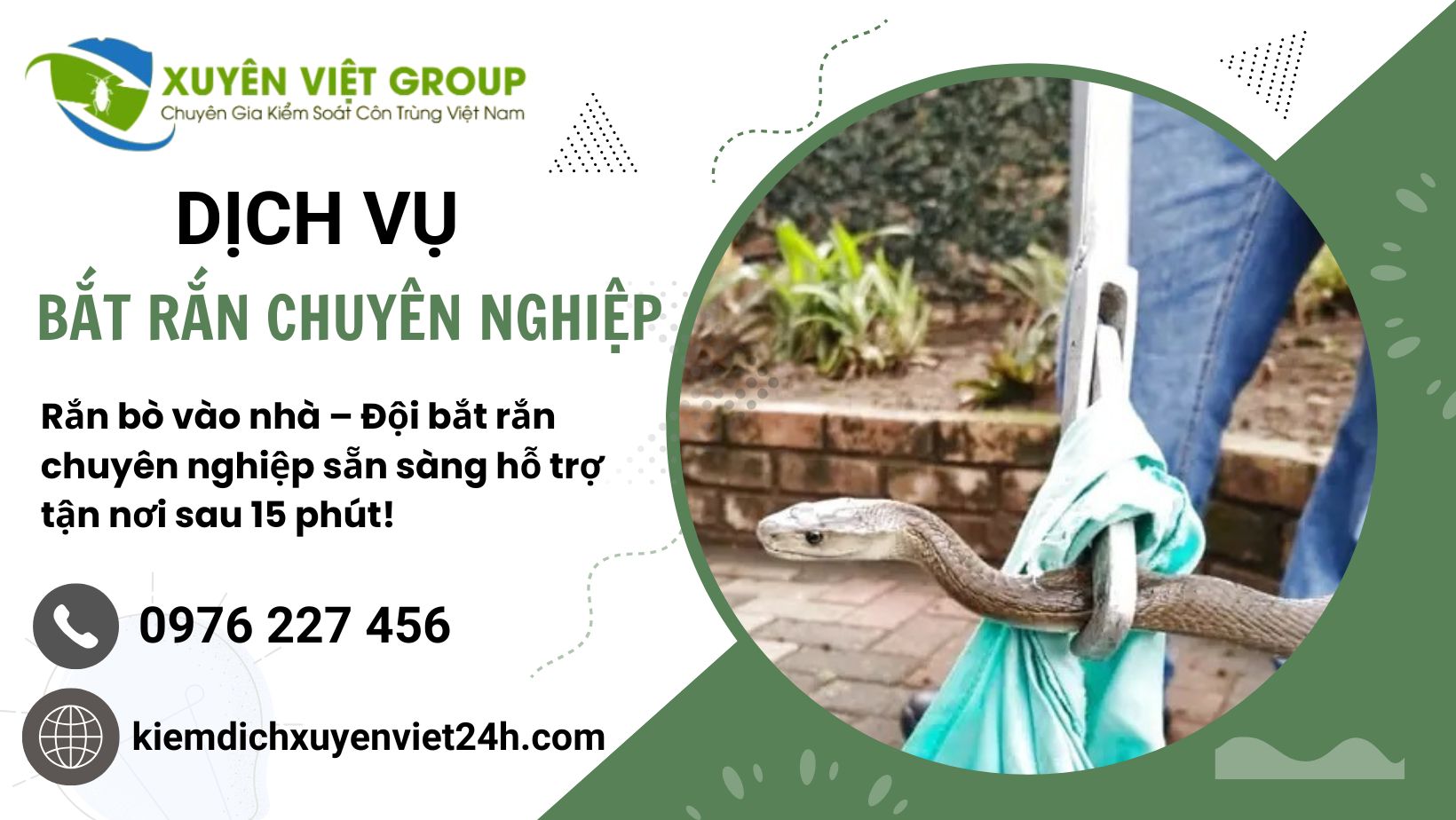 Dịch vụ bắt rắn chuyên nghiệp