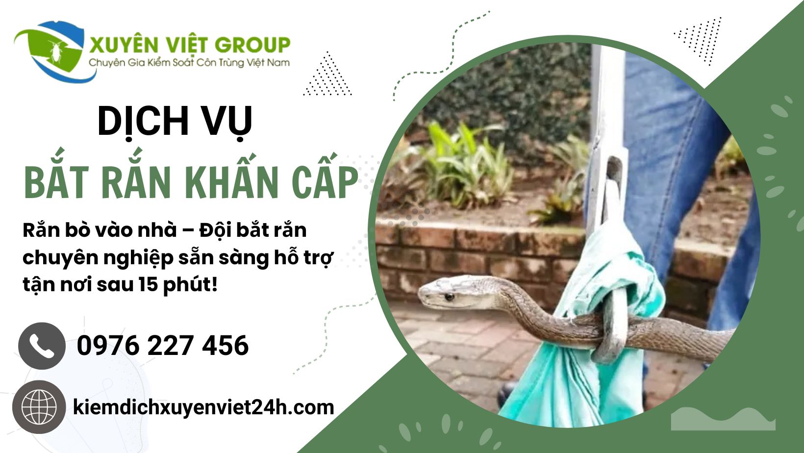 Dịch vụ bắt rắn khẩn cấp