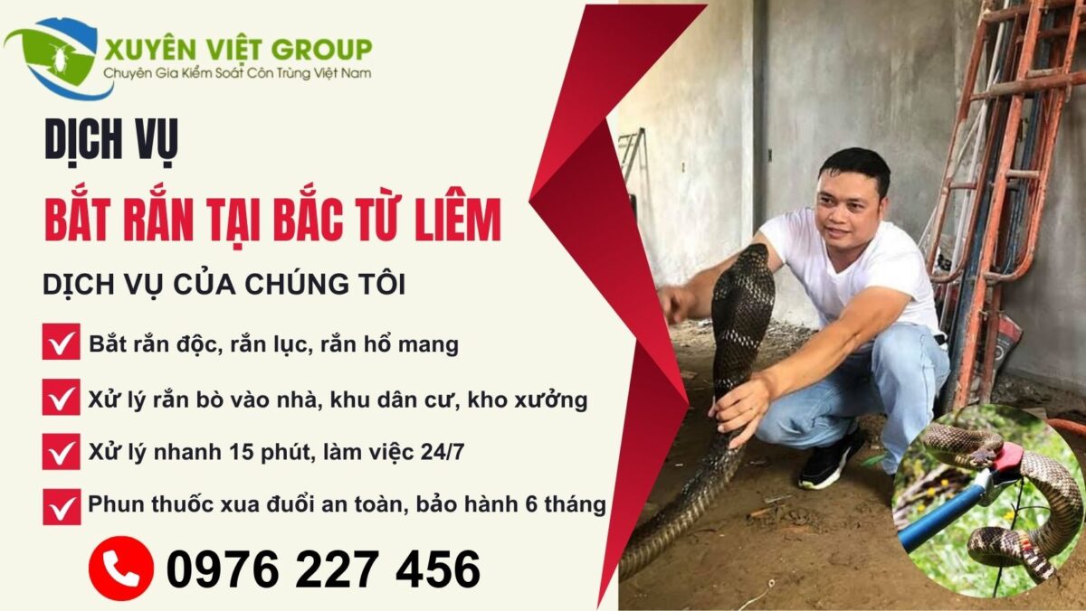 Dịch vụ bắt rắn tại Bắc Từ Liêm