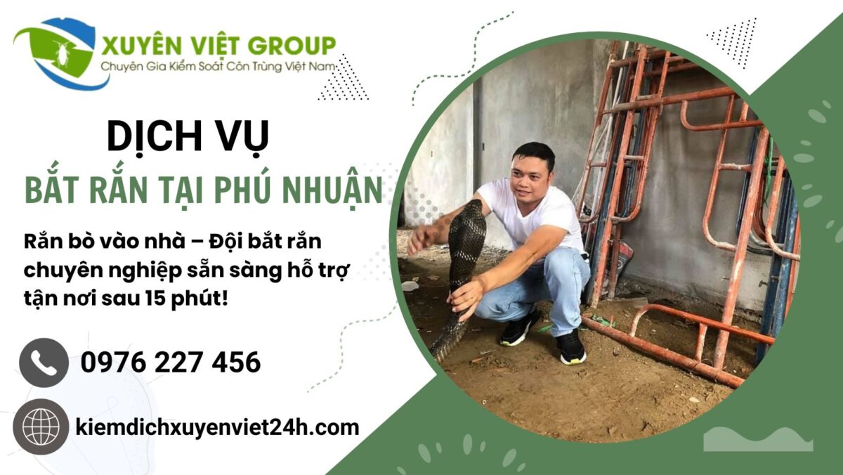 Dịch vụ bắt rắn tại Phú Nhuận