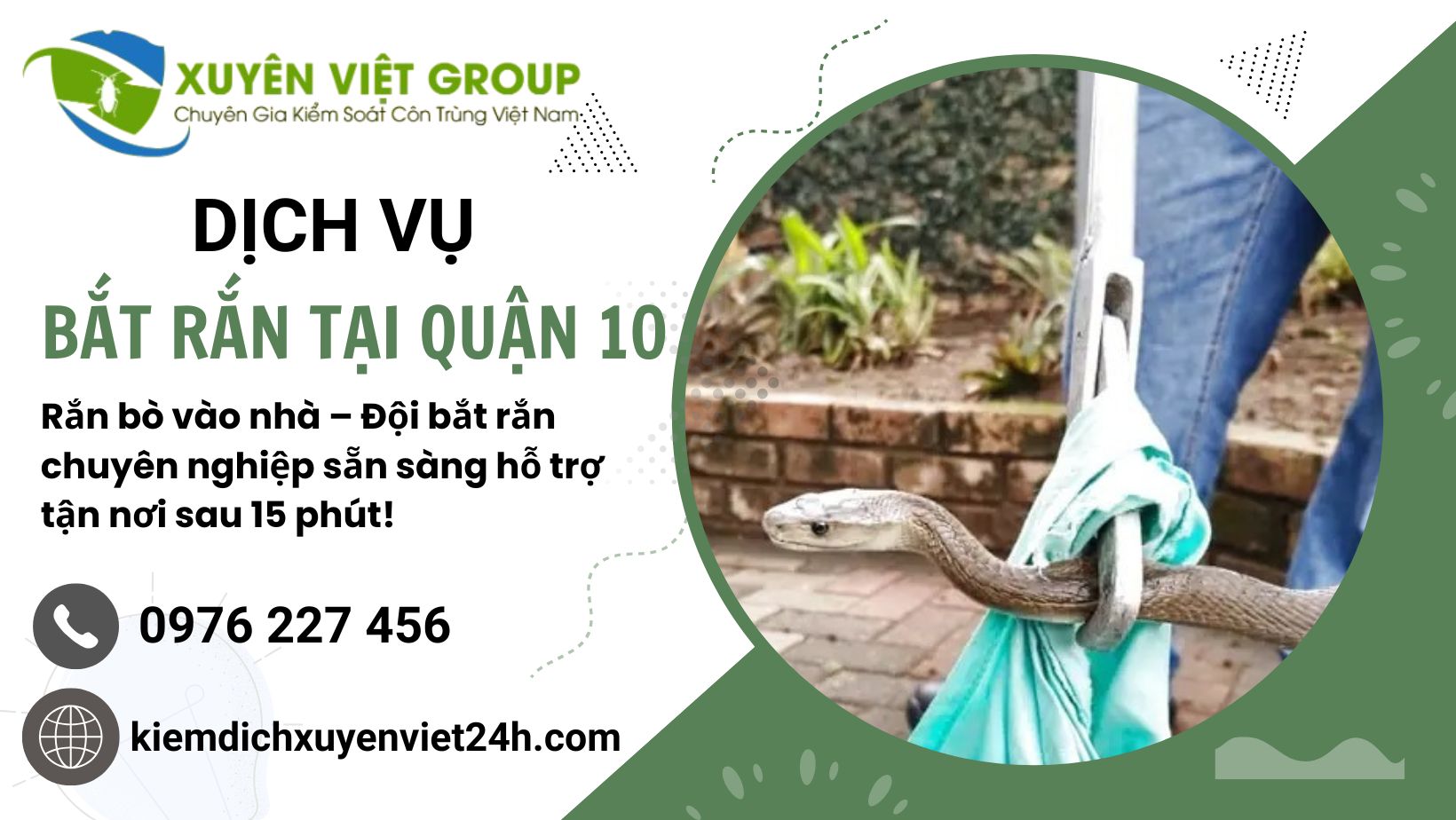 Dịch vụ bắt rắn tại Quận 10