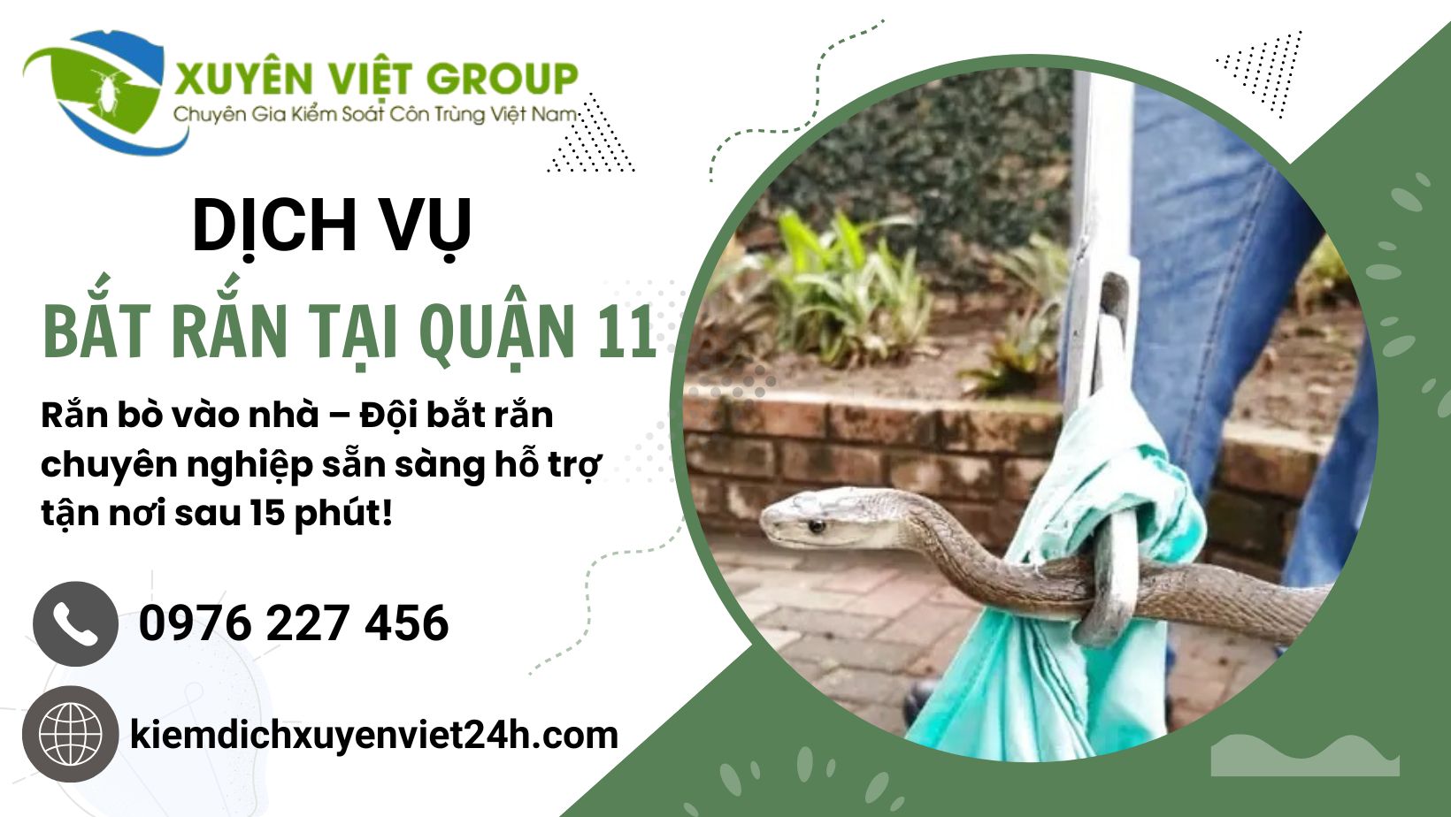 Dịch vụ bắt rắn tại Quận 11