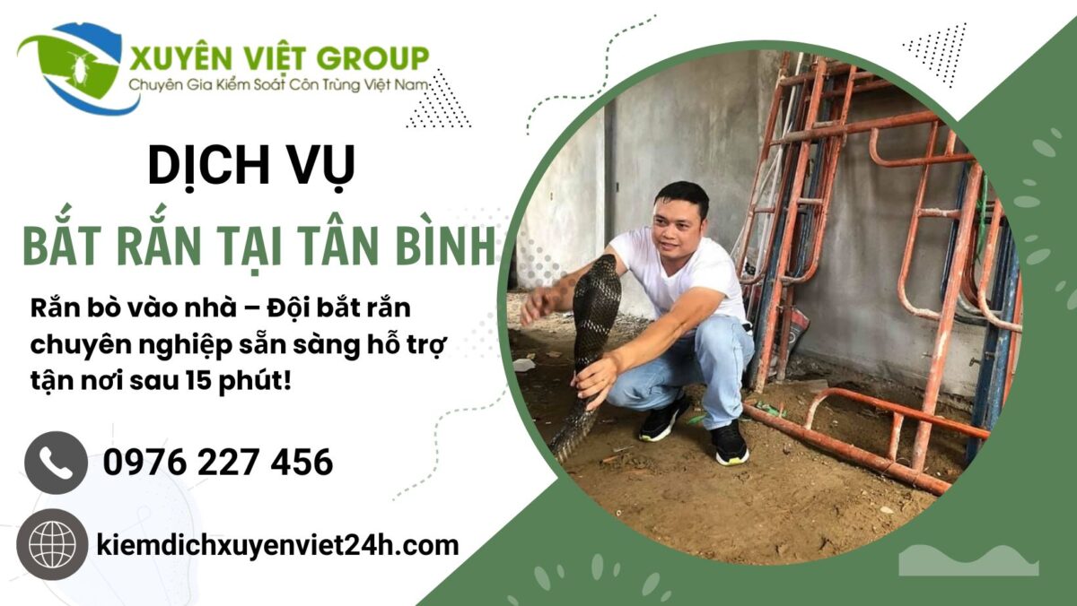 Dịch vụ bắt rắn tại Quận Tân Bình