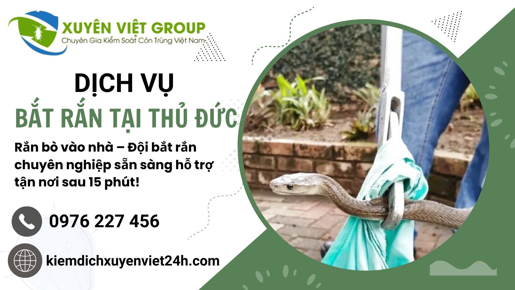 Dịch vụ bắt rắn tại Thủ Đức