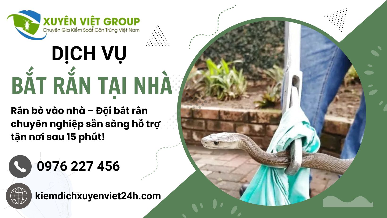 Dịch vụ bắt rắn tại nhà uy tín