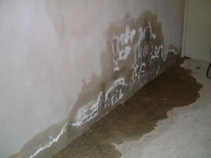 Dấu hiệu cần gọi ngay dịch vụ chống thấm