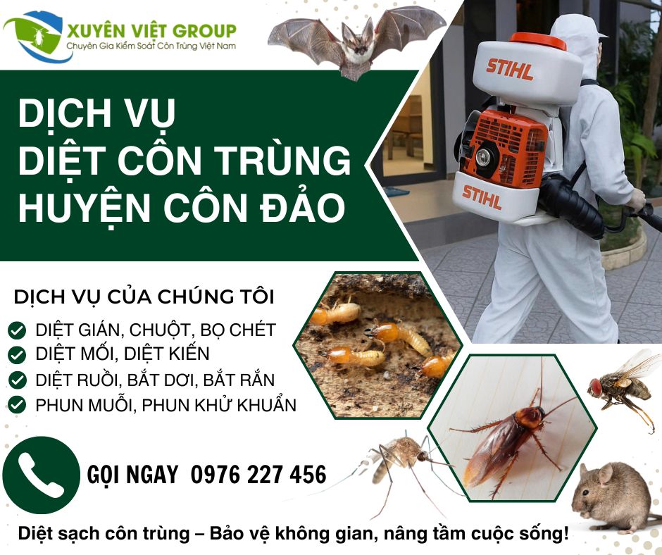 Dịch vụ diệt côn trùng huyện Côn Đảo