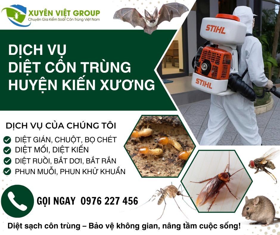 Dịch vụ diệt côn trùng huyện Kiến Xương