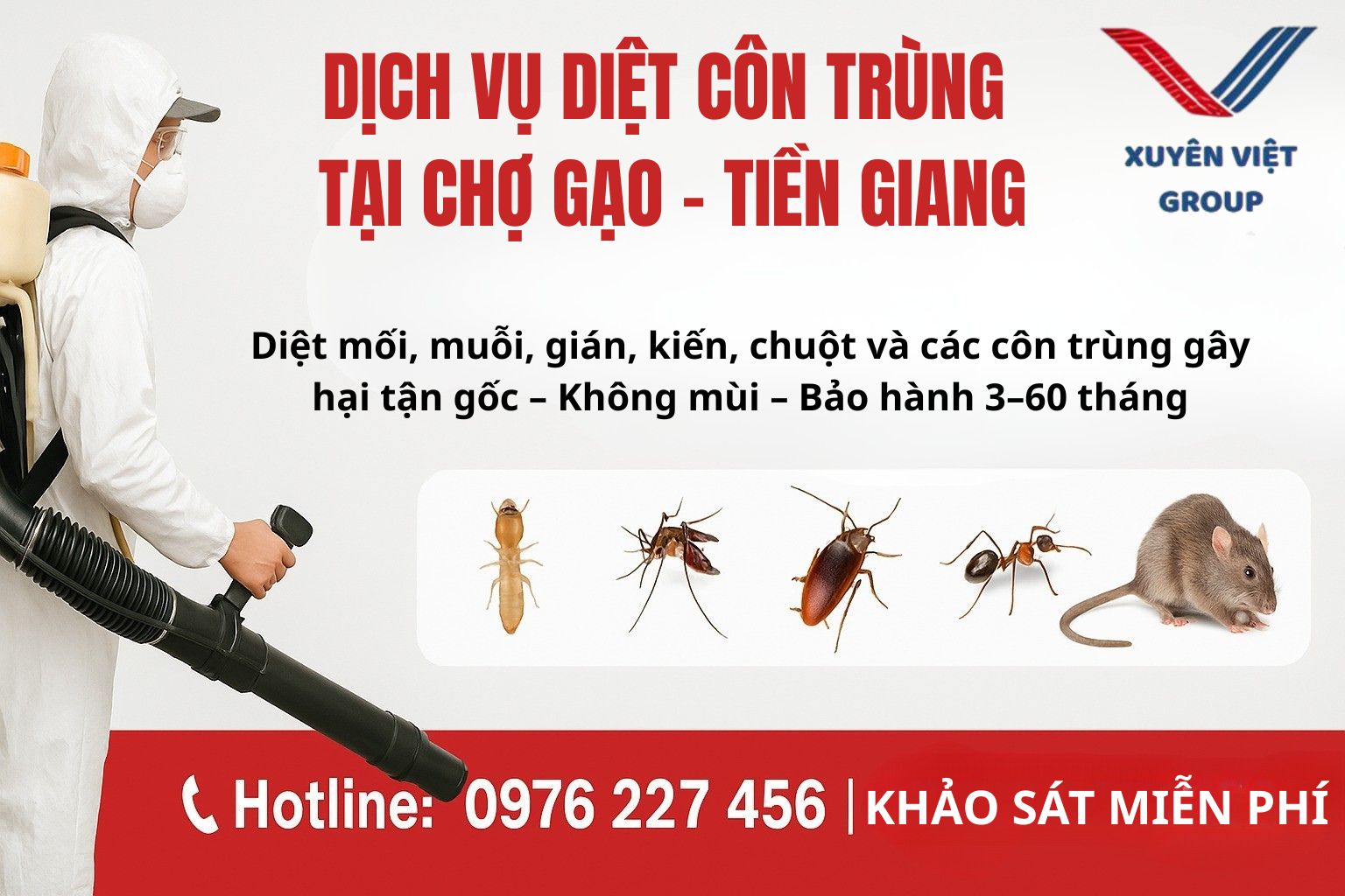 Dịch vụ diệt côn trùng tại Chợ Gạo