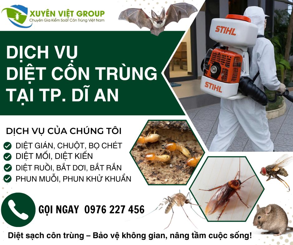 Công ty diệt côn trùng tại Dĩ An