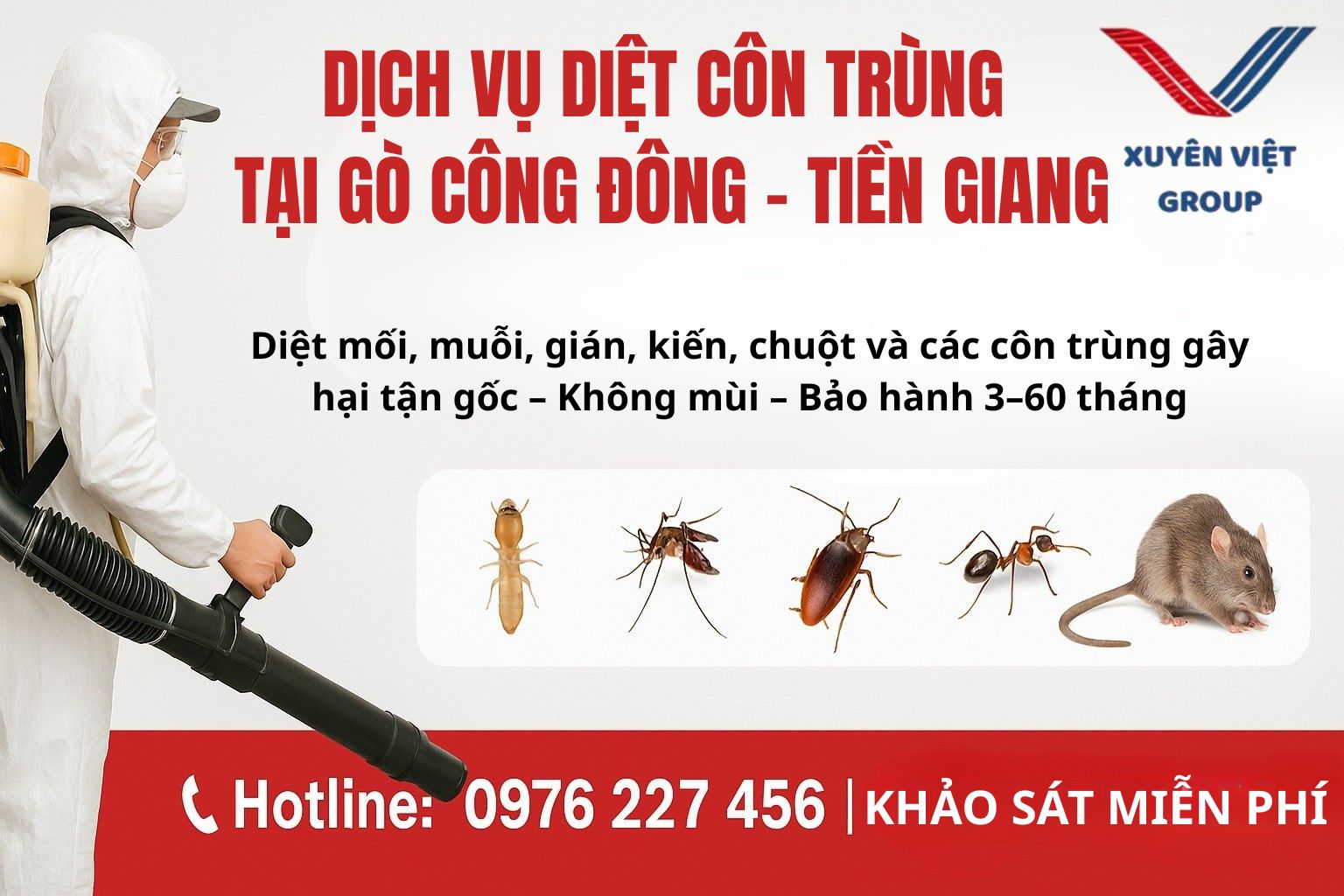 Dịch vụ diệt côn trùng tại Gò Công Đông