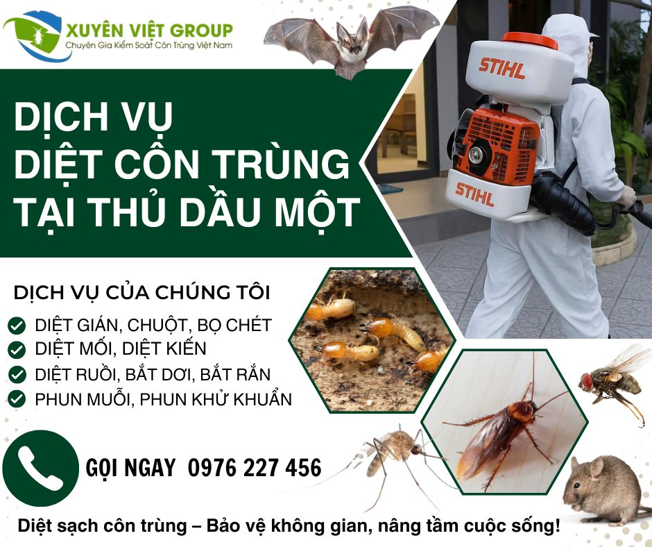 Dịch vụ diệt côn trùng tại Thủ Dầu Một
