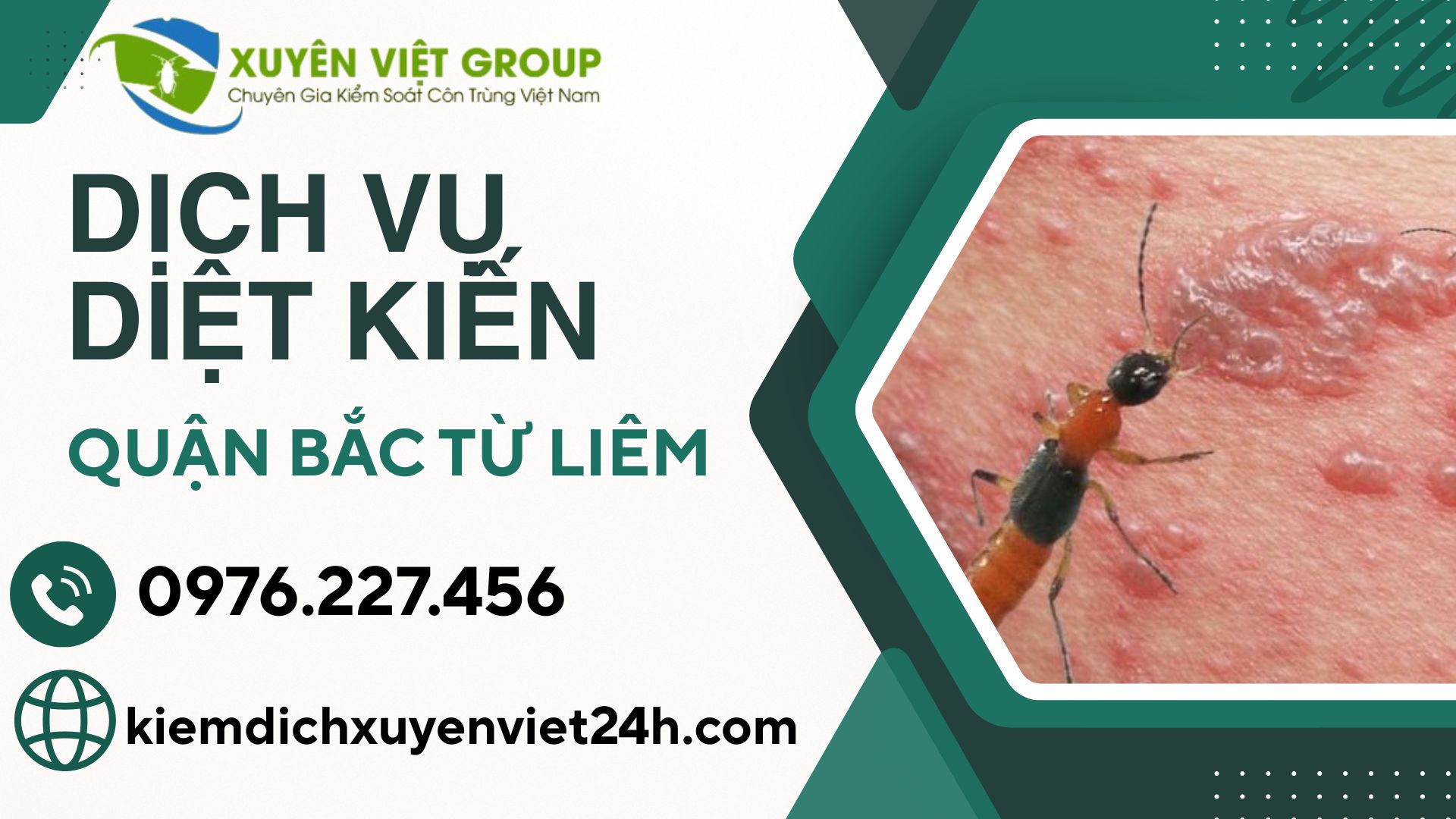 Dịch vụ diệt kiến quận Bắc Từ Liêm