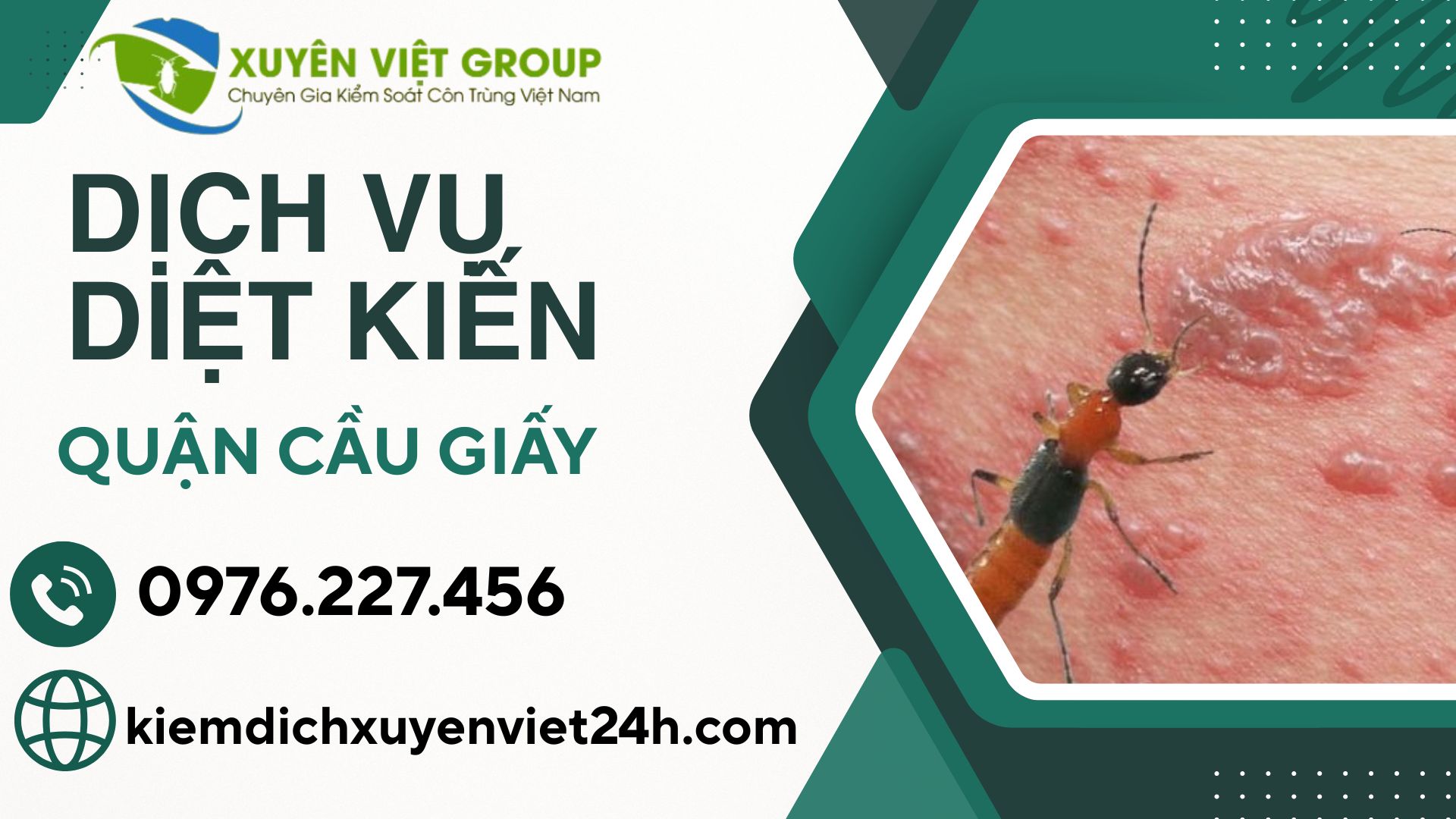 Dịch vụ diệt kiến quận Cầu Giấy