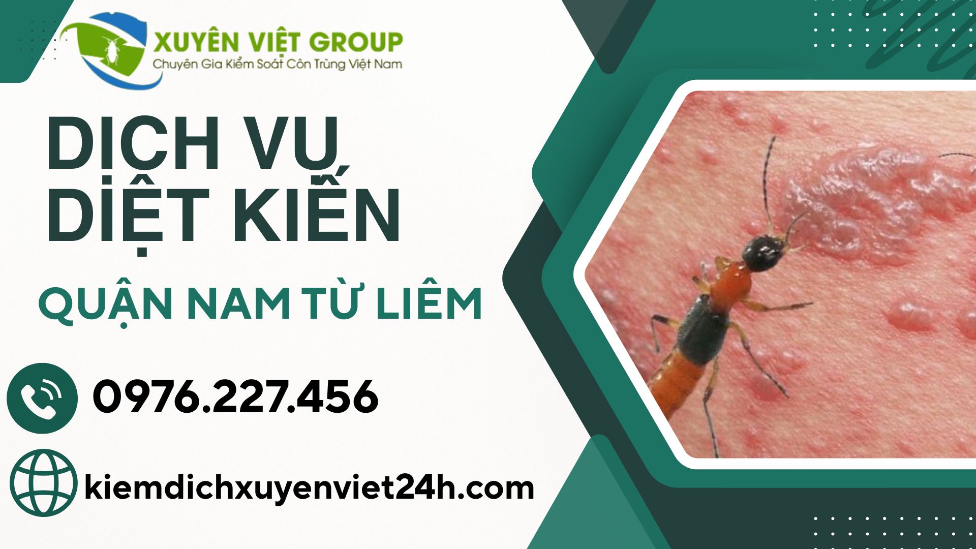 Dịch vụ diệt kiến quận Nam Từ Liêm