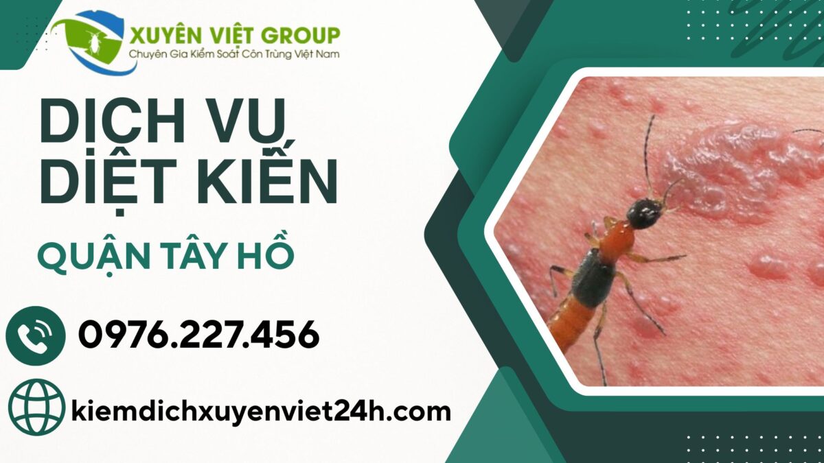 Dịch vụ diệt kiến quận Tây Hồ