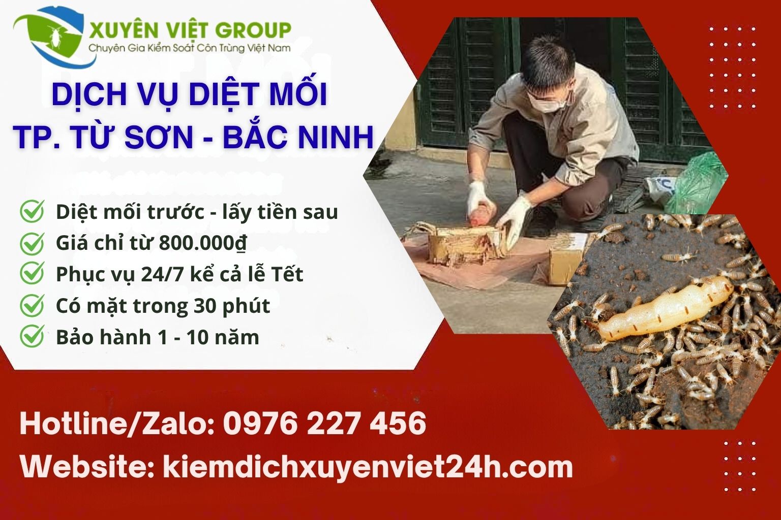 Dịch vụ diệt mối TP Từ Sơn