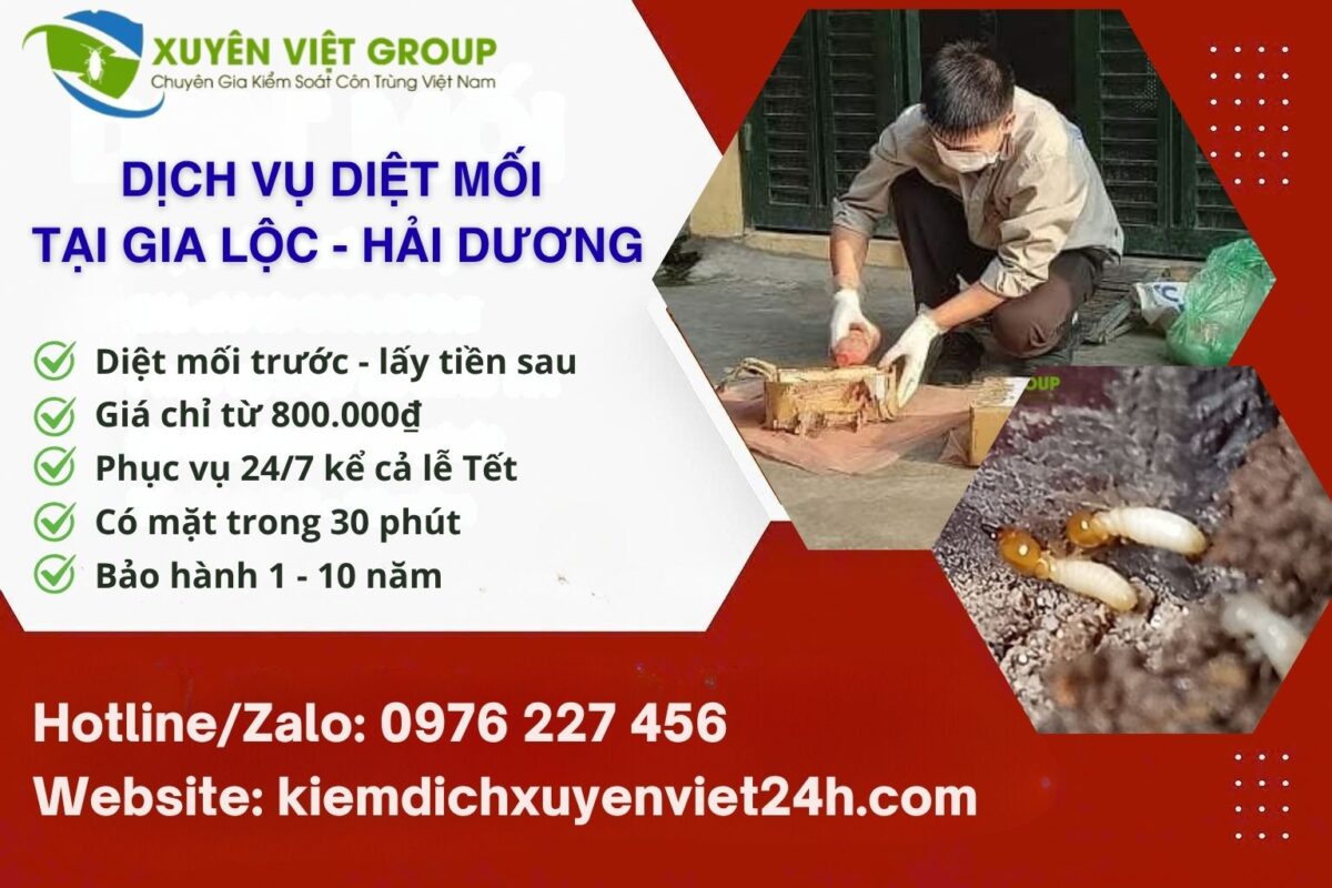 Dịch vụ diệt mối huyện Gia Lộc