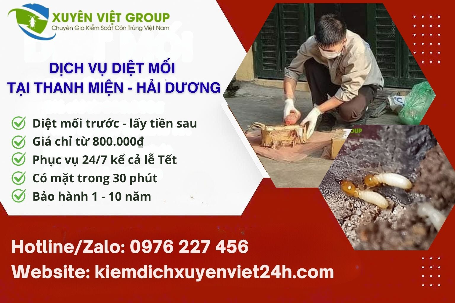 Dịch vụ diệt mối huyện Thanh Miện