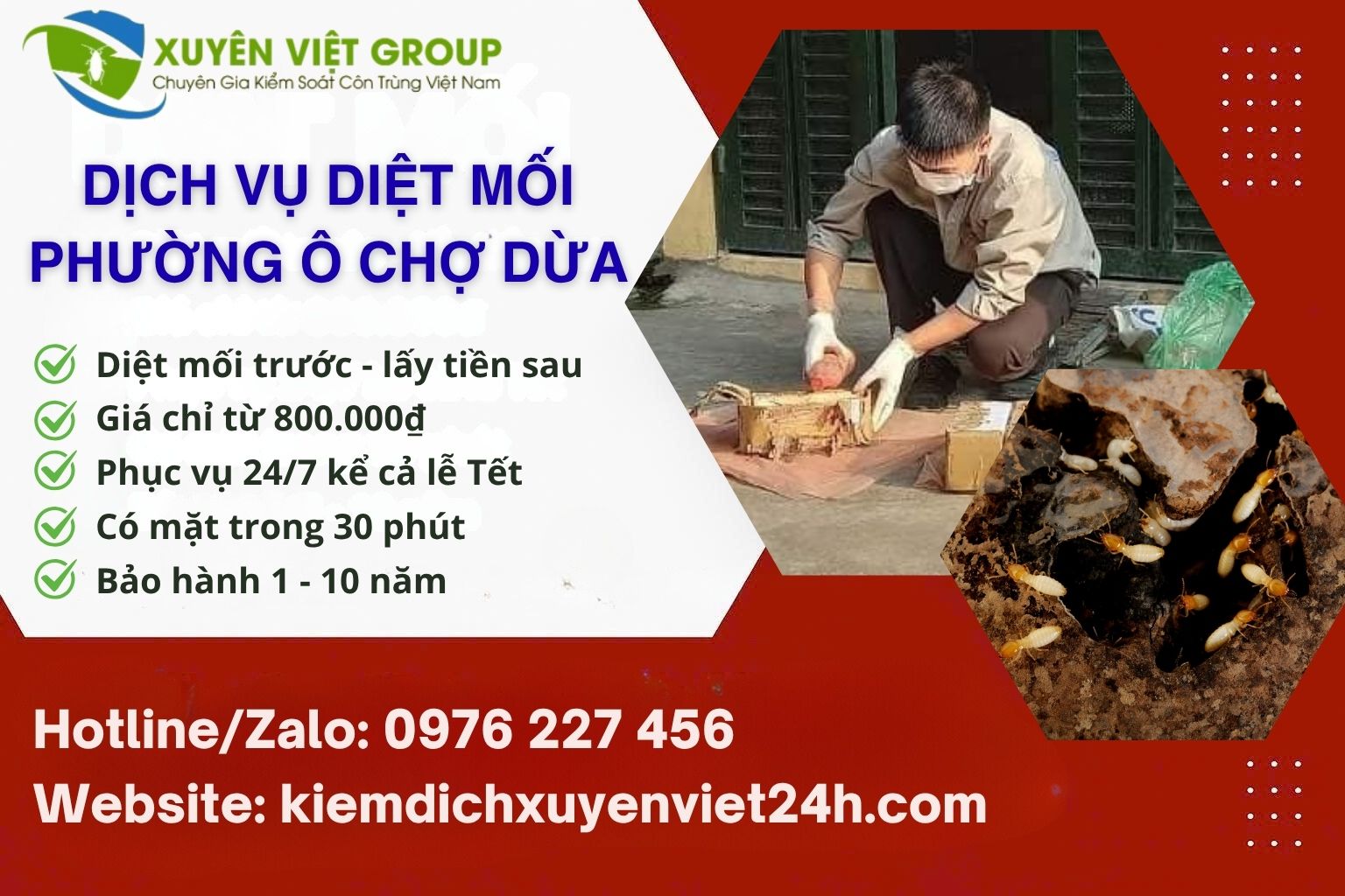 Dịch vụ diệt mối phường Ô Chợ Dừa giá rẻ
