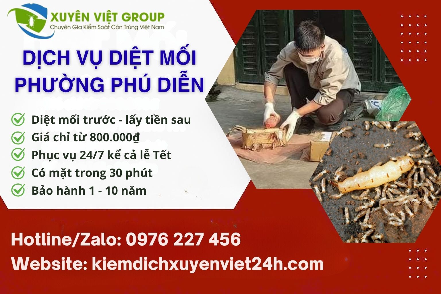 Dịch vụ diệt mối phường Phú Diễn uy tín