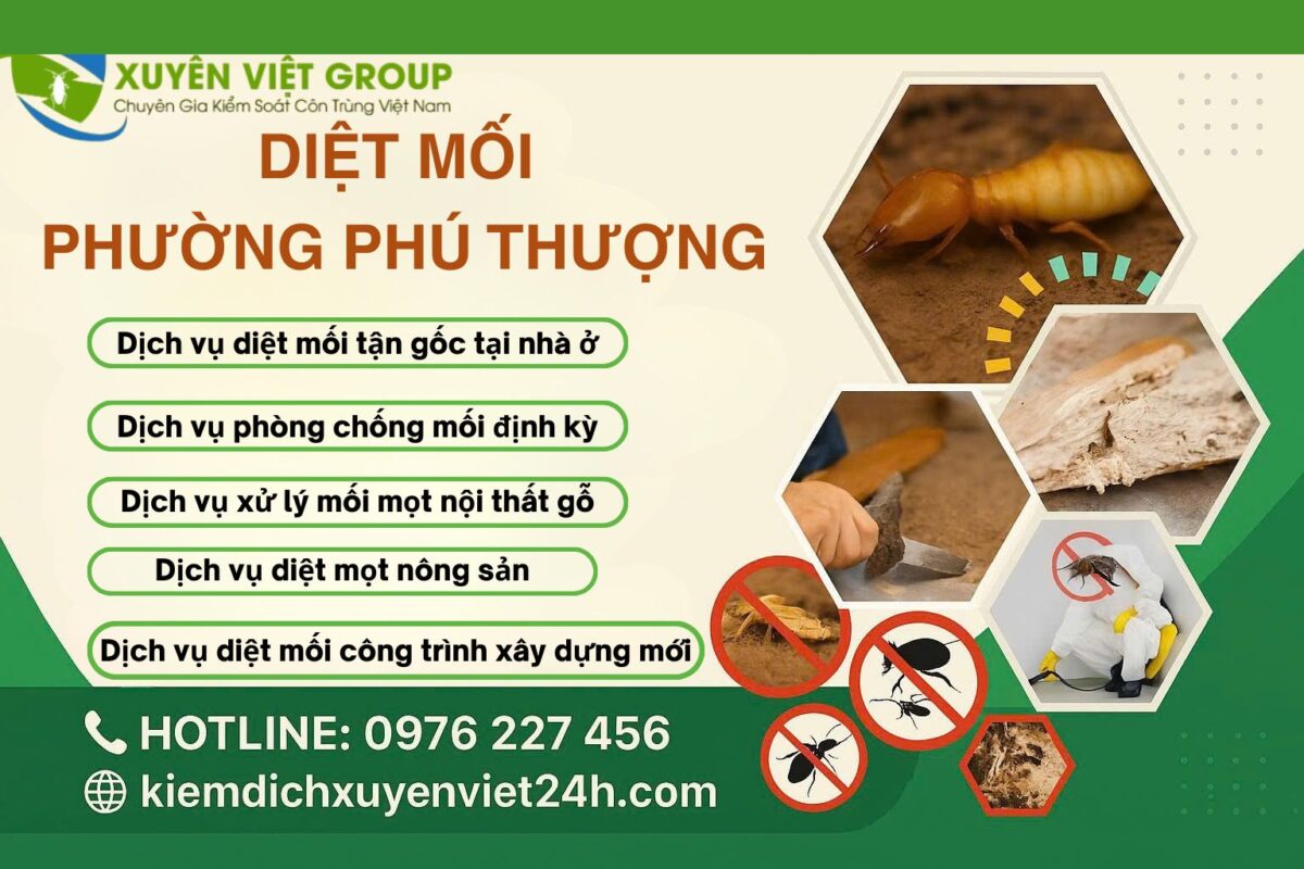 Dịch vụ diệt mối phường Phú Thượng