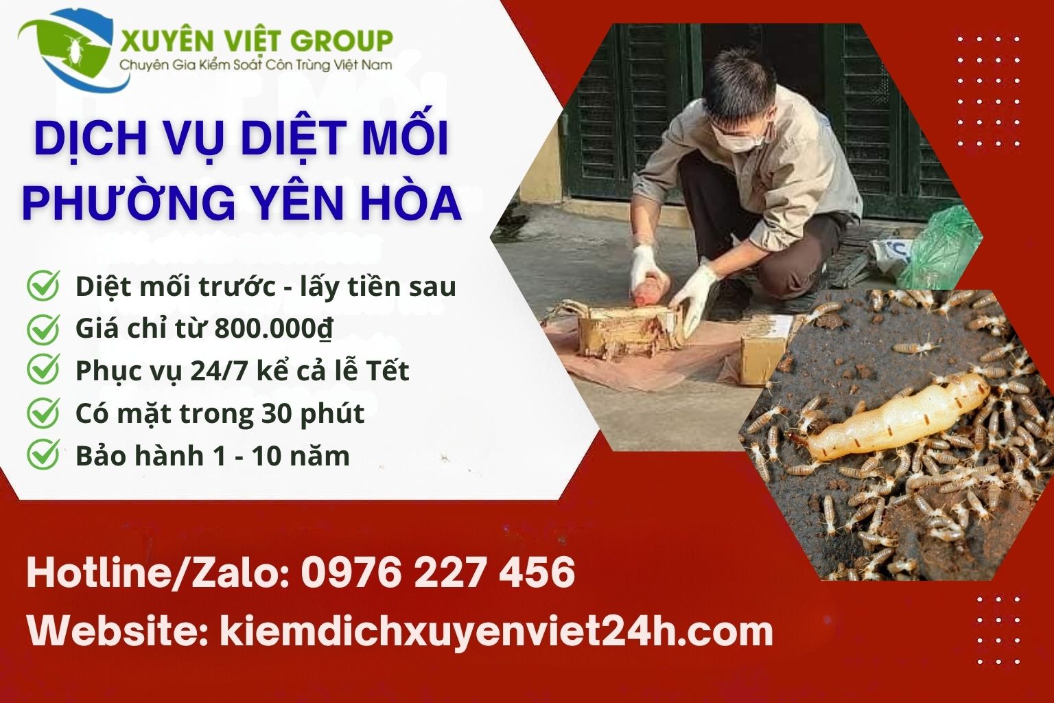 Dịch vụ diệt mối phường Yên Hòa