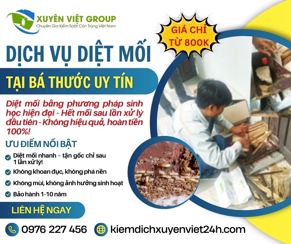 Dịch vụ diệt mối tại Bá Thước