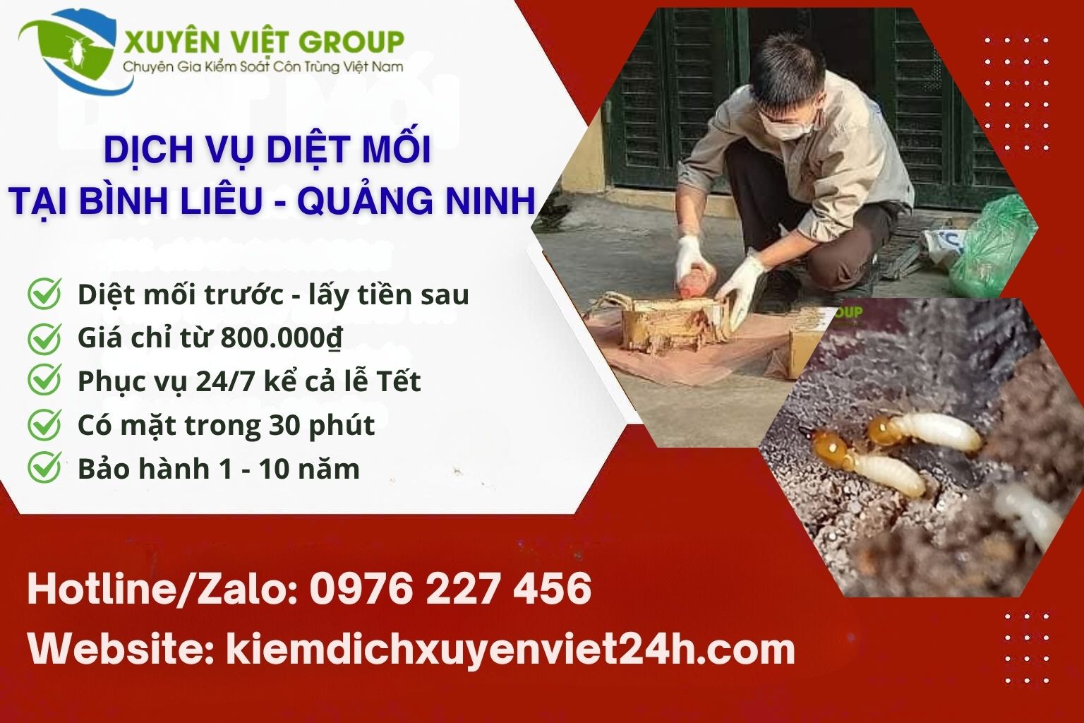Dịch vụ diệt mối tại Bình Liêu