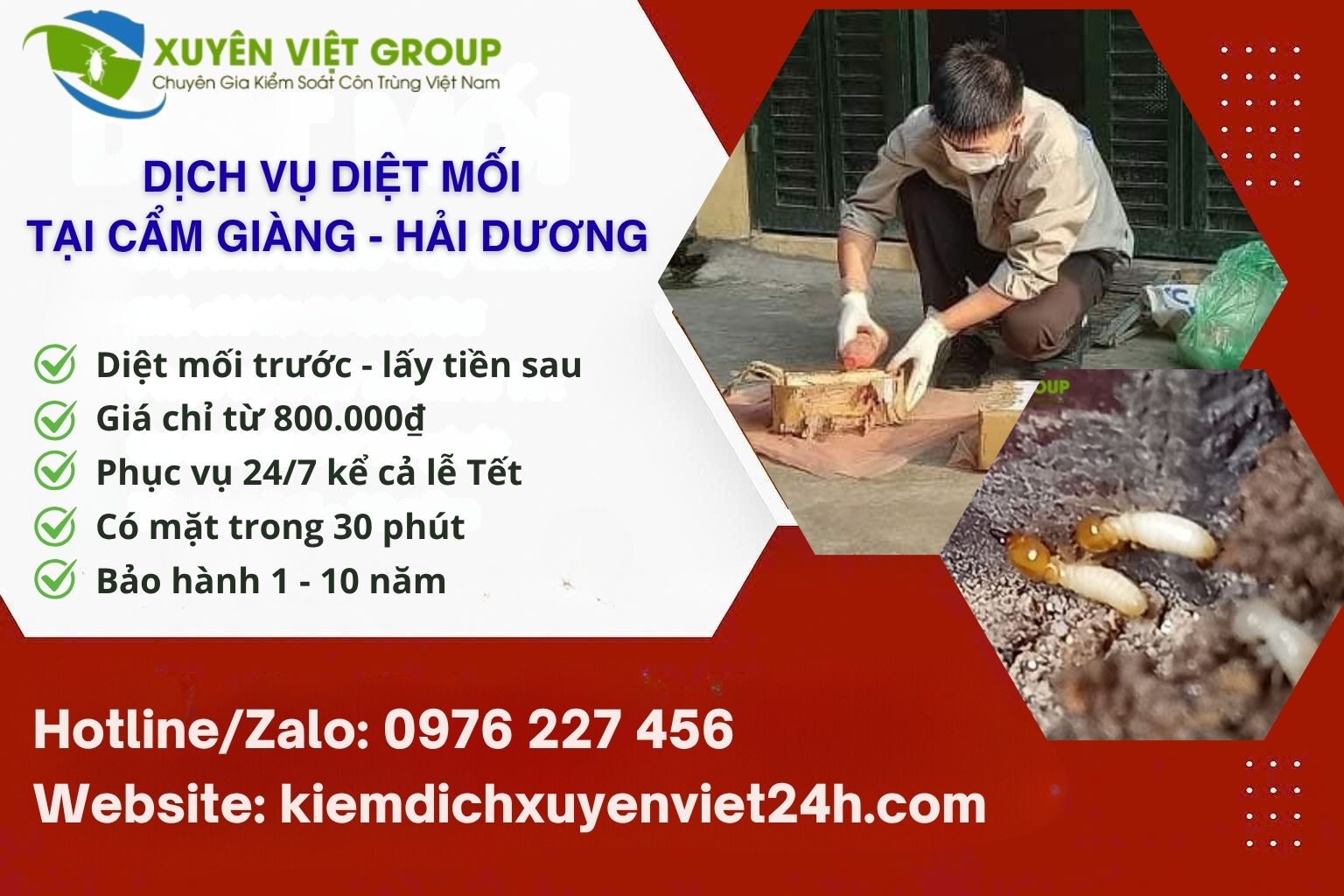 Dịch vụ diệt mối huyện Cẩm Giàng
