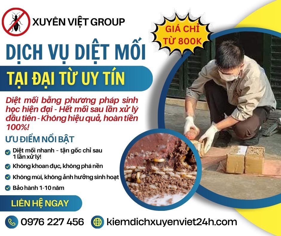 Dịch vụ diệt mối tại Đại Từ