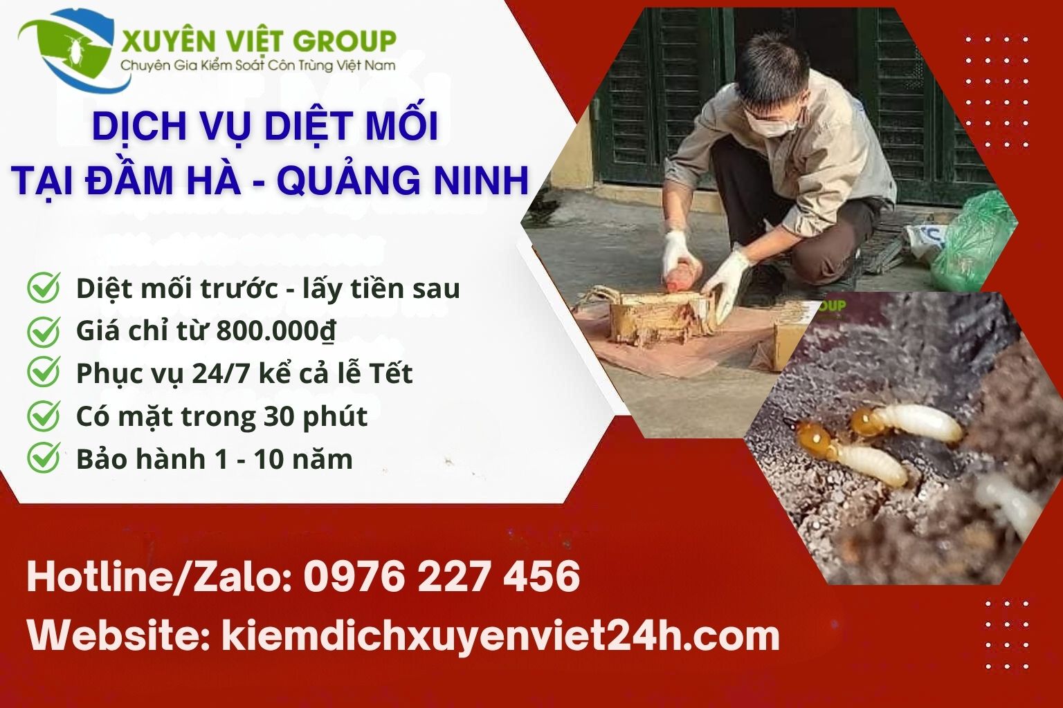 Dịch vụ diệt mối tại Đầm Hà