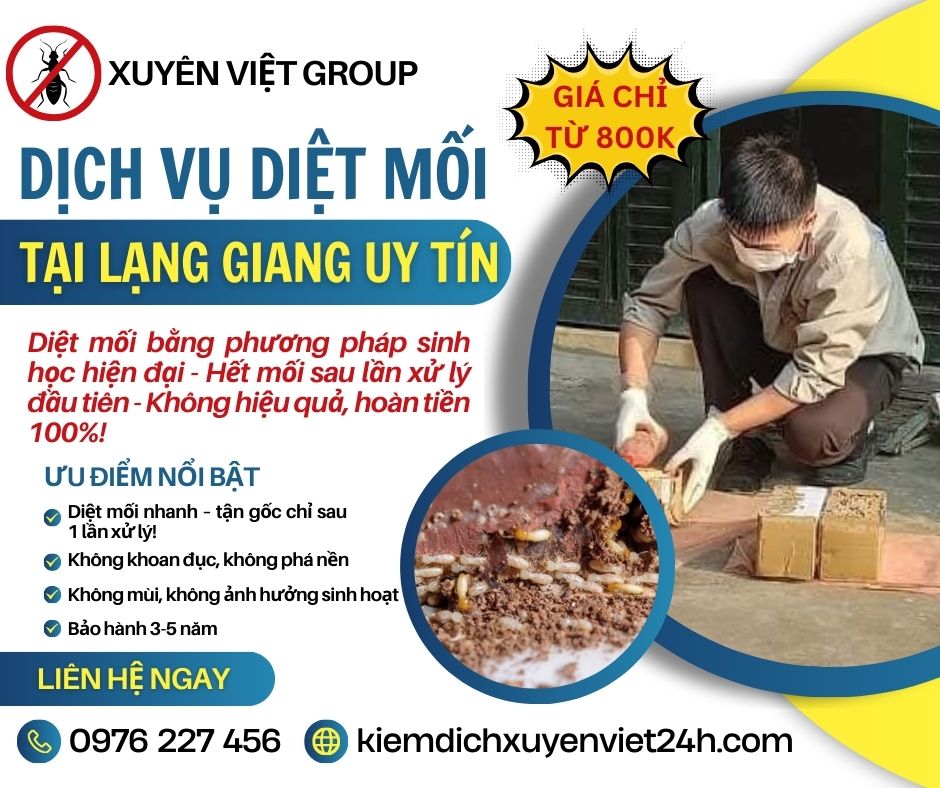 Dịch vụ diệt mối tại Lạng Giang