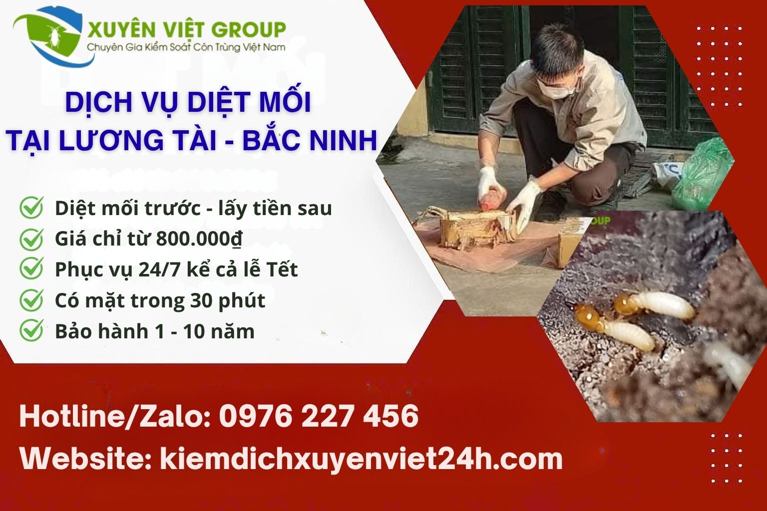 Dịch vụ diệt mối tại Lương Tài