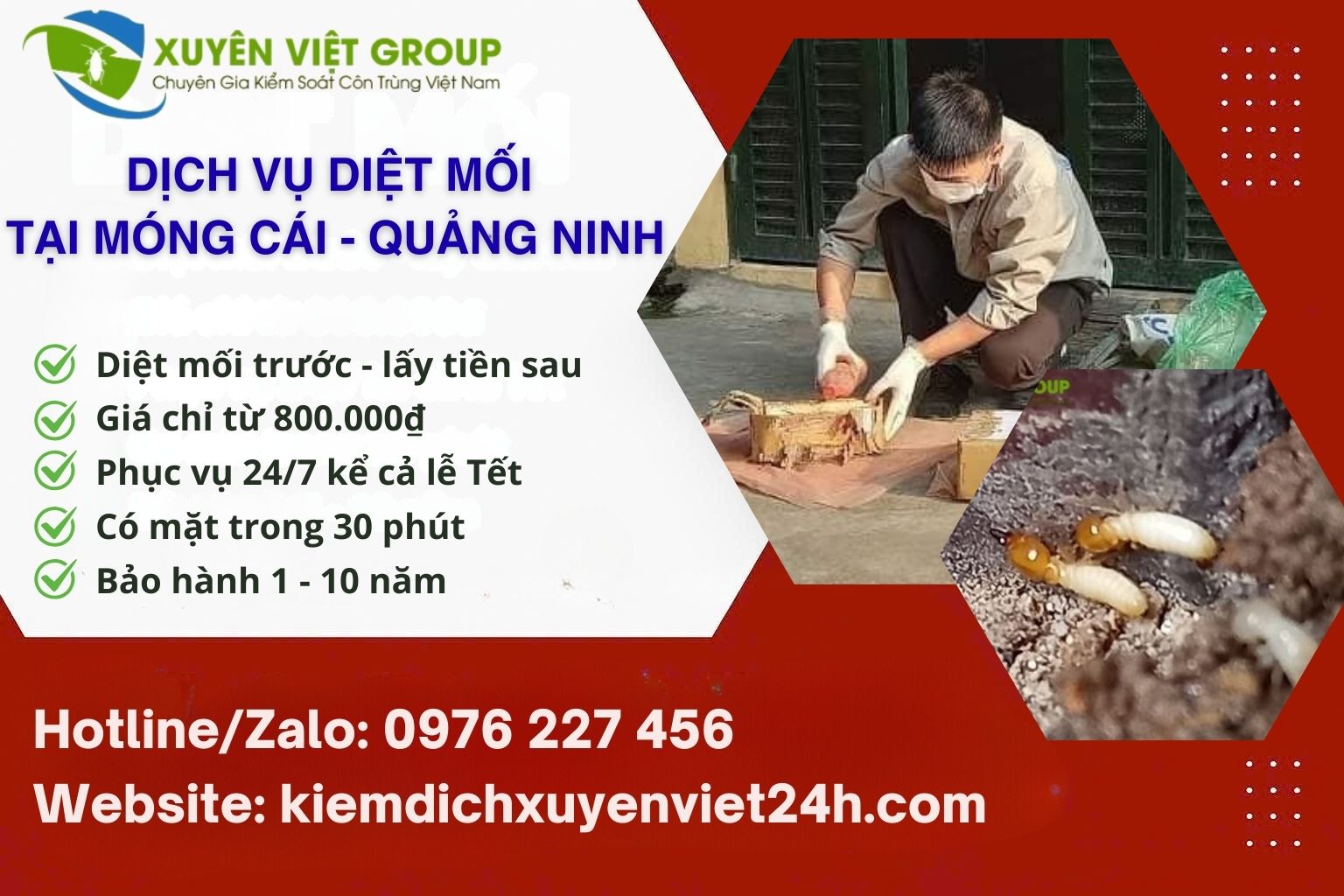 Dịch vụ diệt mối tại Móng Cái