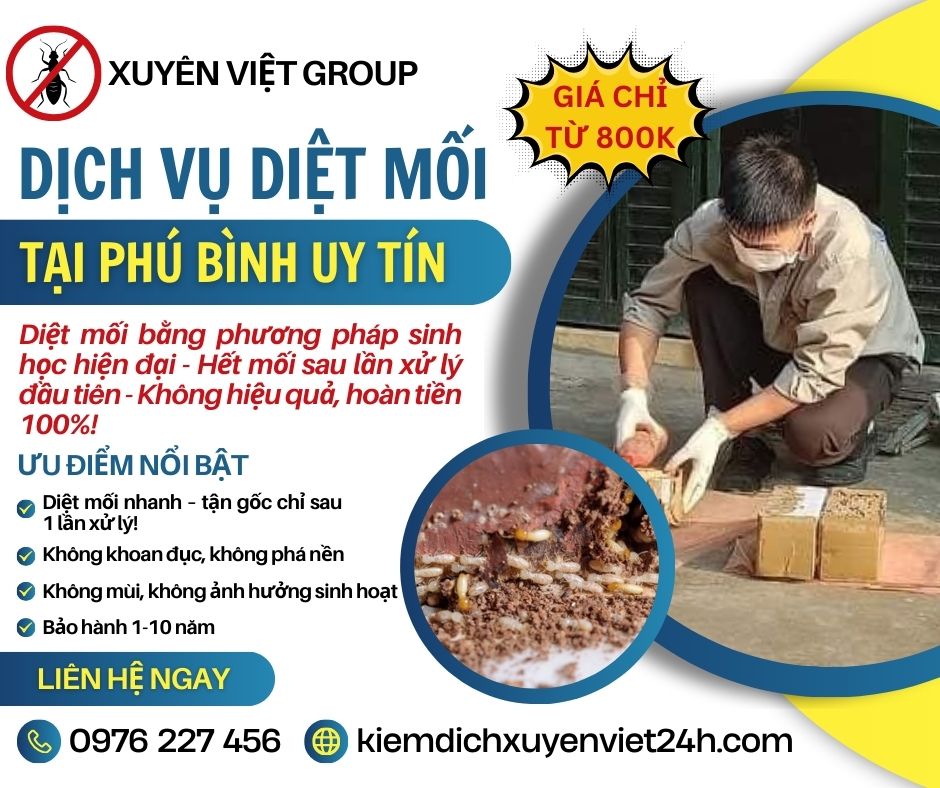 Dịch vụ diệt mối tại Phú Bình