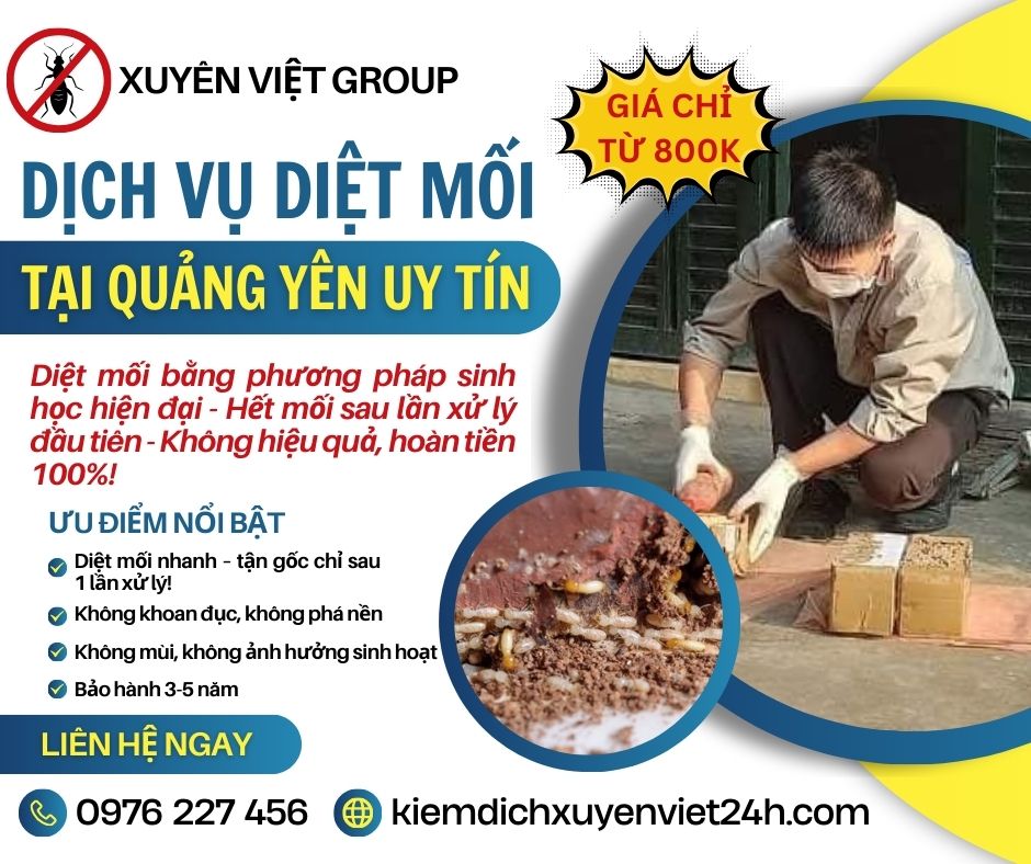 Dịch vụ diệt mối tại Quảng Yên