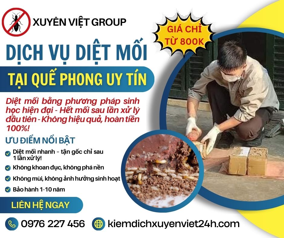 Dịch vụ diệt mối tại Quế Phong